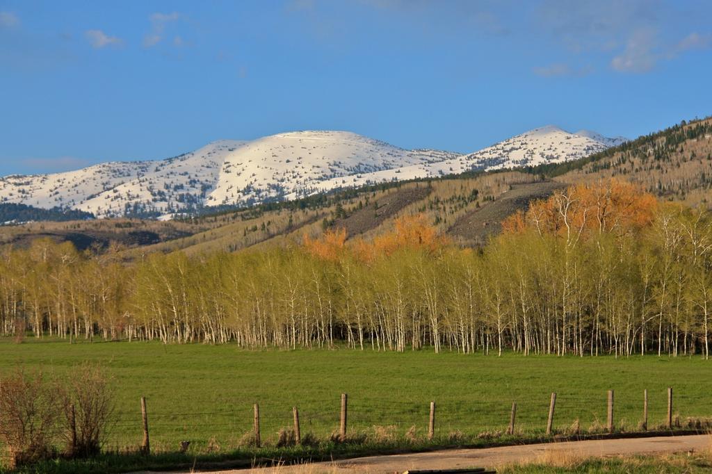Teton Hostel Hideaway Driggs Dış mekan fotoğraf
