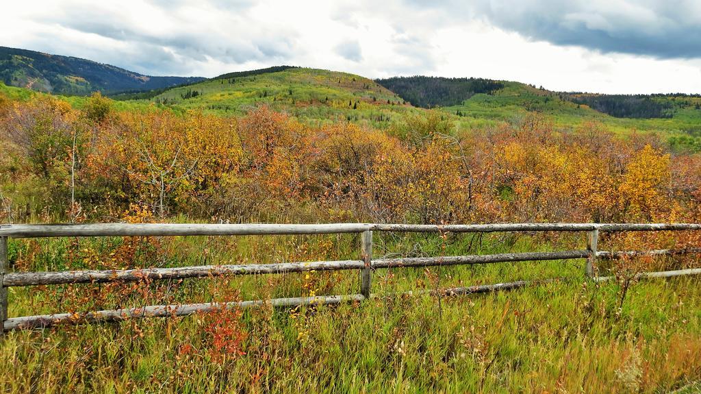Teton Hostel Hideaway Driggs Dış mekan fotoğraf